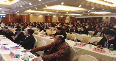 2025新澳门免费原料宝典